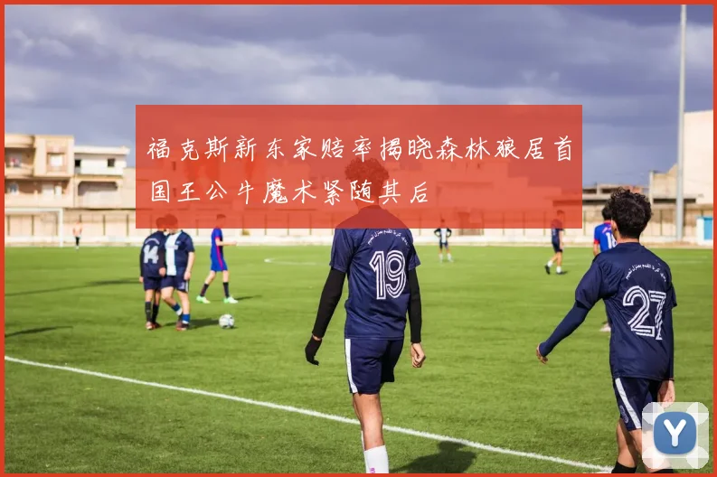 福克斯新东家赔率揭晓森林狼居首国王公牛魔术紧随其后